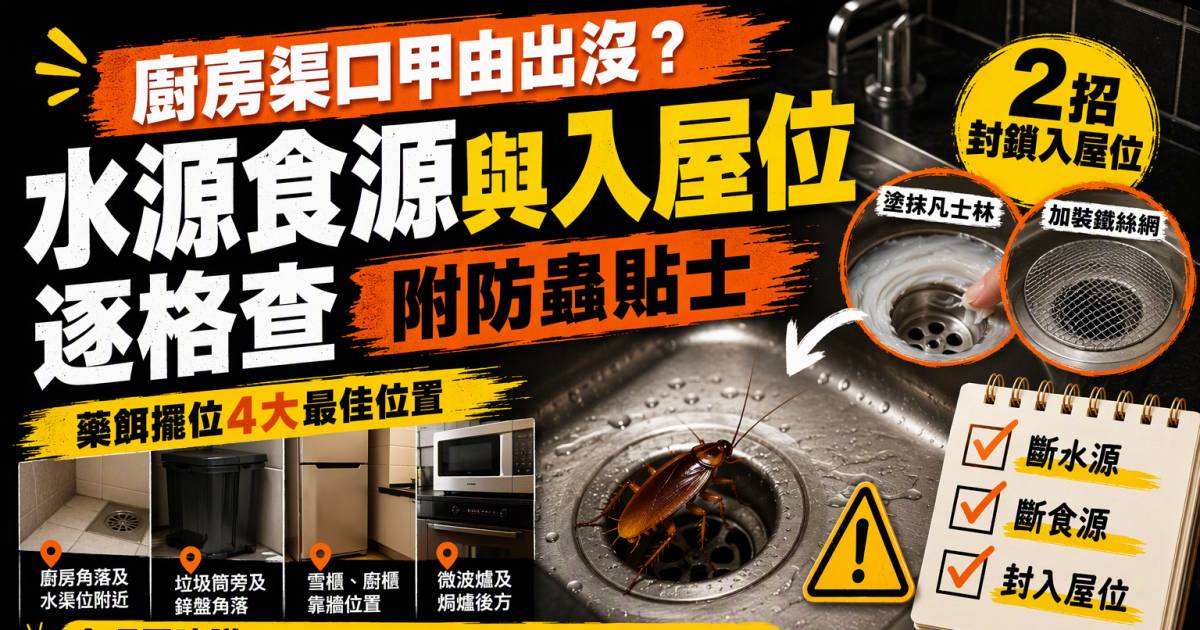 廚房渠口曱甴出沒？水源食源與入屋位逐格查｜附防蟲貼士
