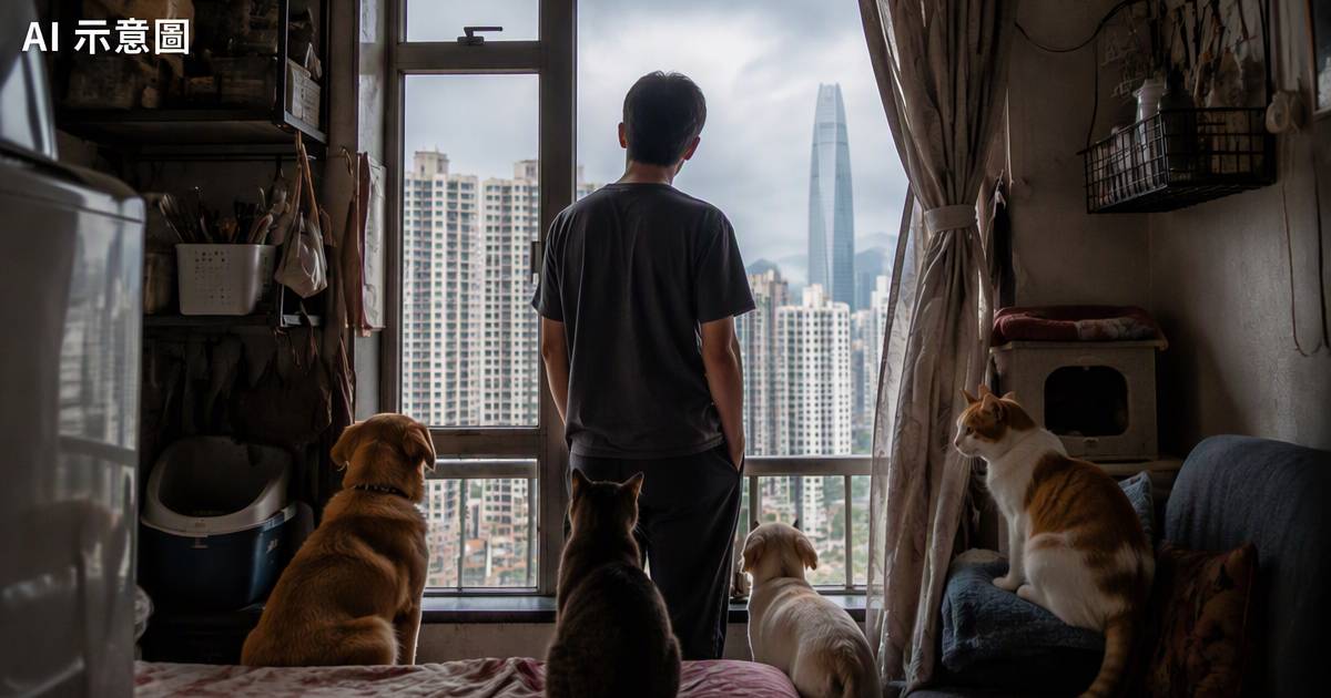 港人月租逾2萬養12隻毛孩擬搬深圳一道門檻令佢卻步