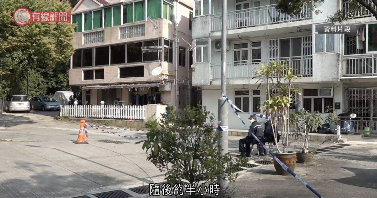 蔡天鳳案｜龍尾村鄰居還原當日案發細節 聞青紅蘿蔔湯即叫外賣 辯方公開關鍵影片質疑假證供
