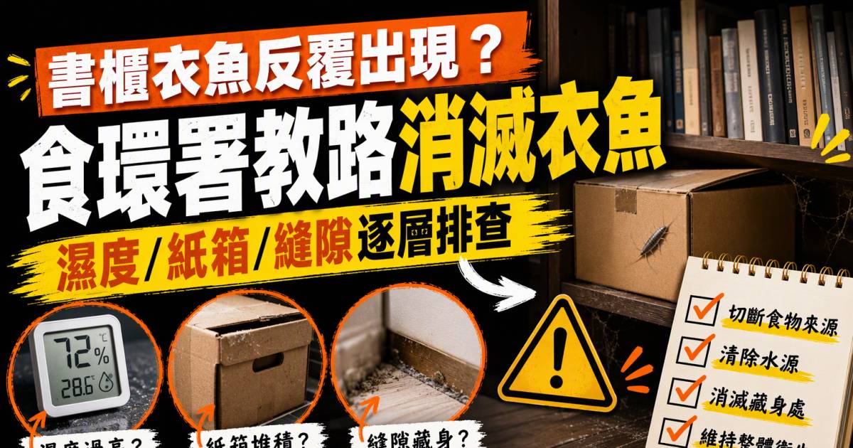 書櫃衣魚反覆出現？食環署教路消滅衣魚 濕度/紙箱/縫隙逐層排查